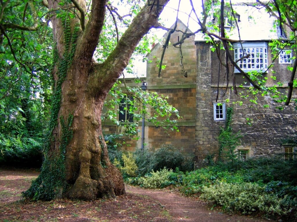 Save A Tree, Use Better Building Techniques