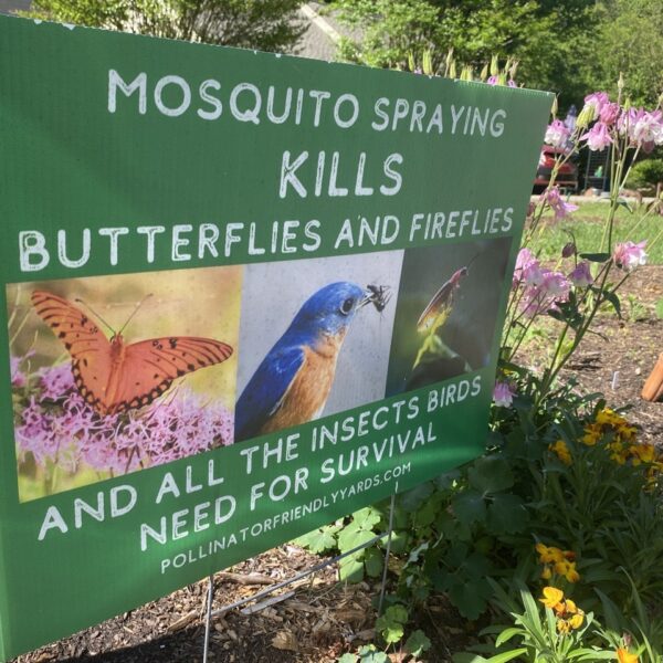 Pollinator Yard Sign Large